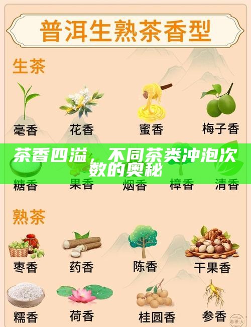 茶香四溢，不同茶类冲泡次数的奥秘