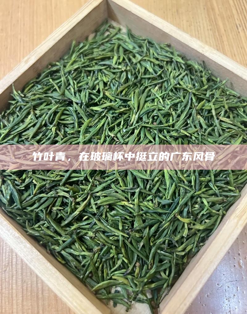 竹叶青，在玻璃杯中挺立的广东风骨
